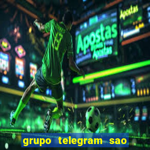 grupo telegram sao jose do rio preto